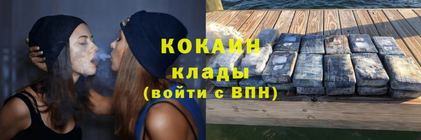 кокс Дмитров