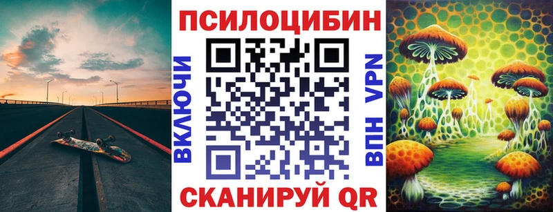 закладки  Елизово  KRAKEN зеркало  Галлюциногенные грибы Cubensis 