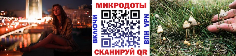 Галлюциногенные грибы ЛСД Елизово