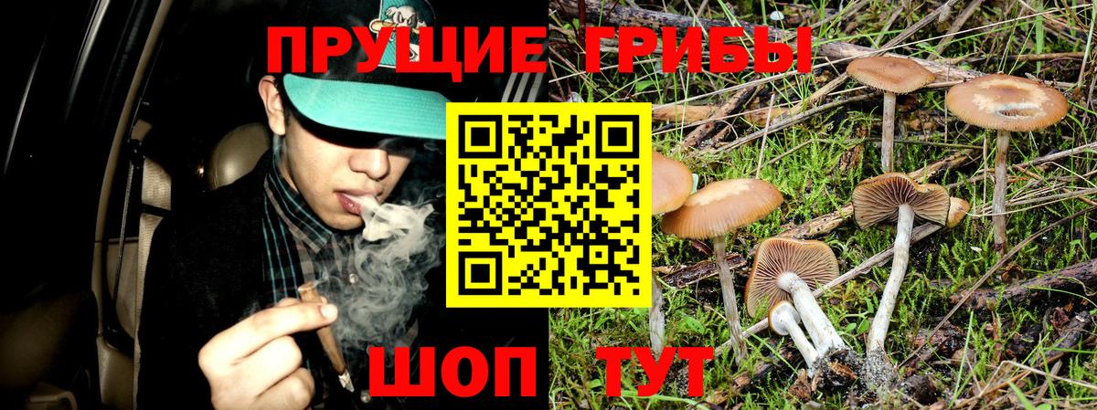 Галлюциногенные грибы прущие грибы  даркнет сайт  Елизово  Вход с VPN 